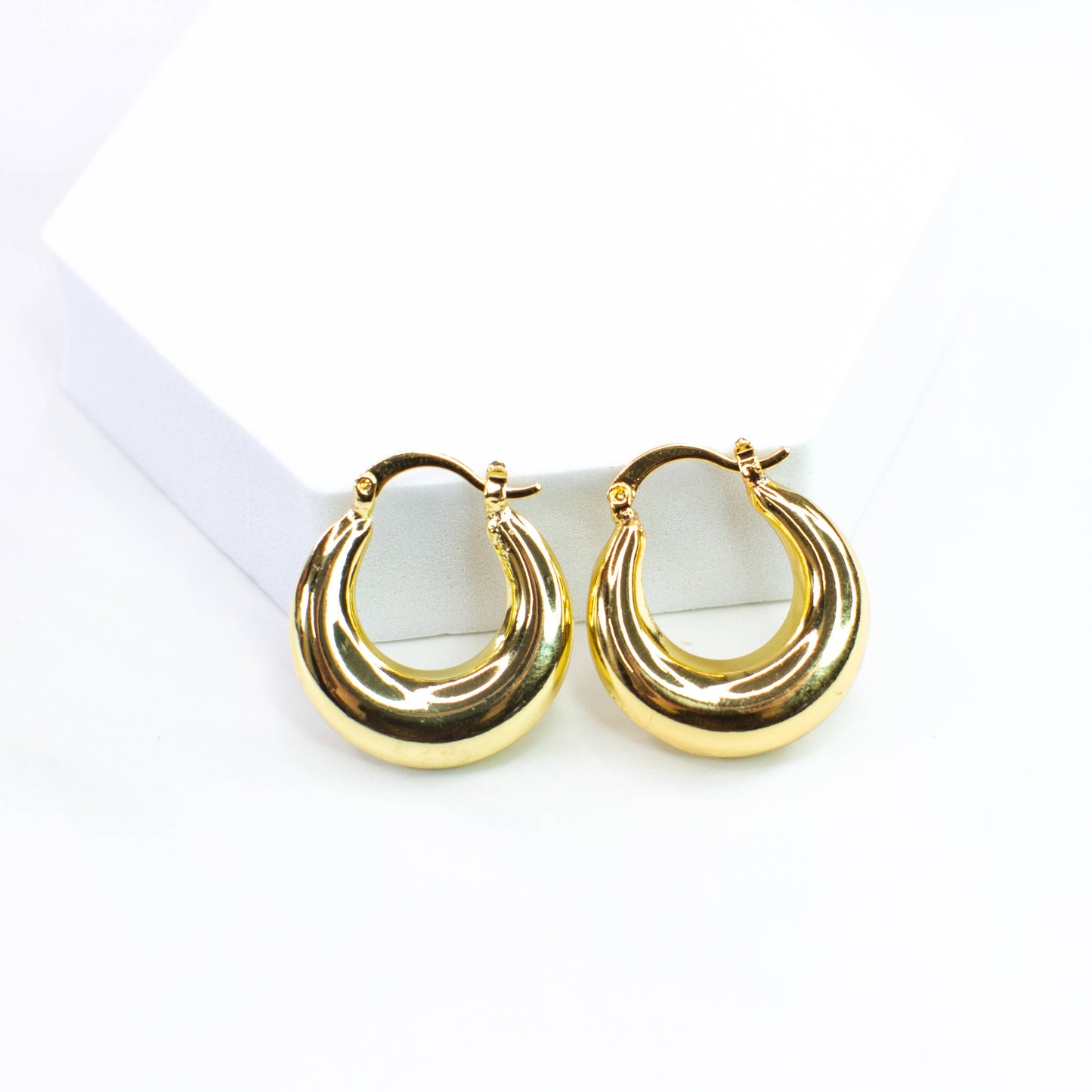 Large Gold Hoop Earrings
