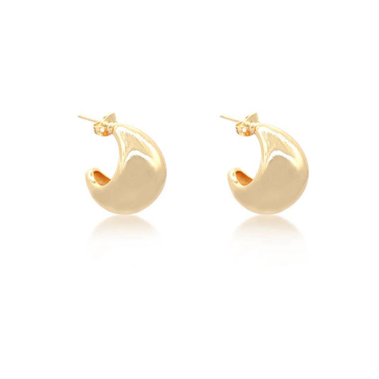 Small Gold Filled Chunky Hoop Earrings